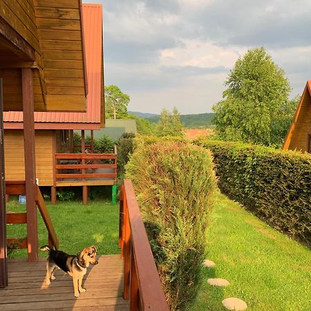 Domki Nad Solina Czarny Kot 509-797-777 Buitenkant foto