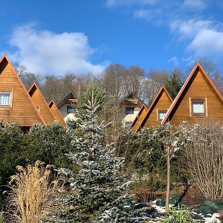 Domki Nad Solina Czarny Kot 509-797-777 Buitenkant foto