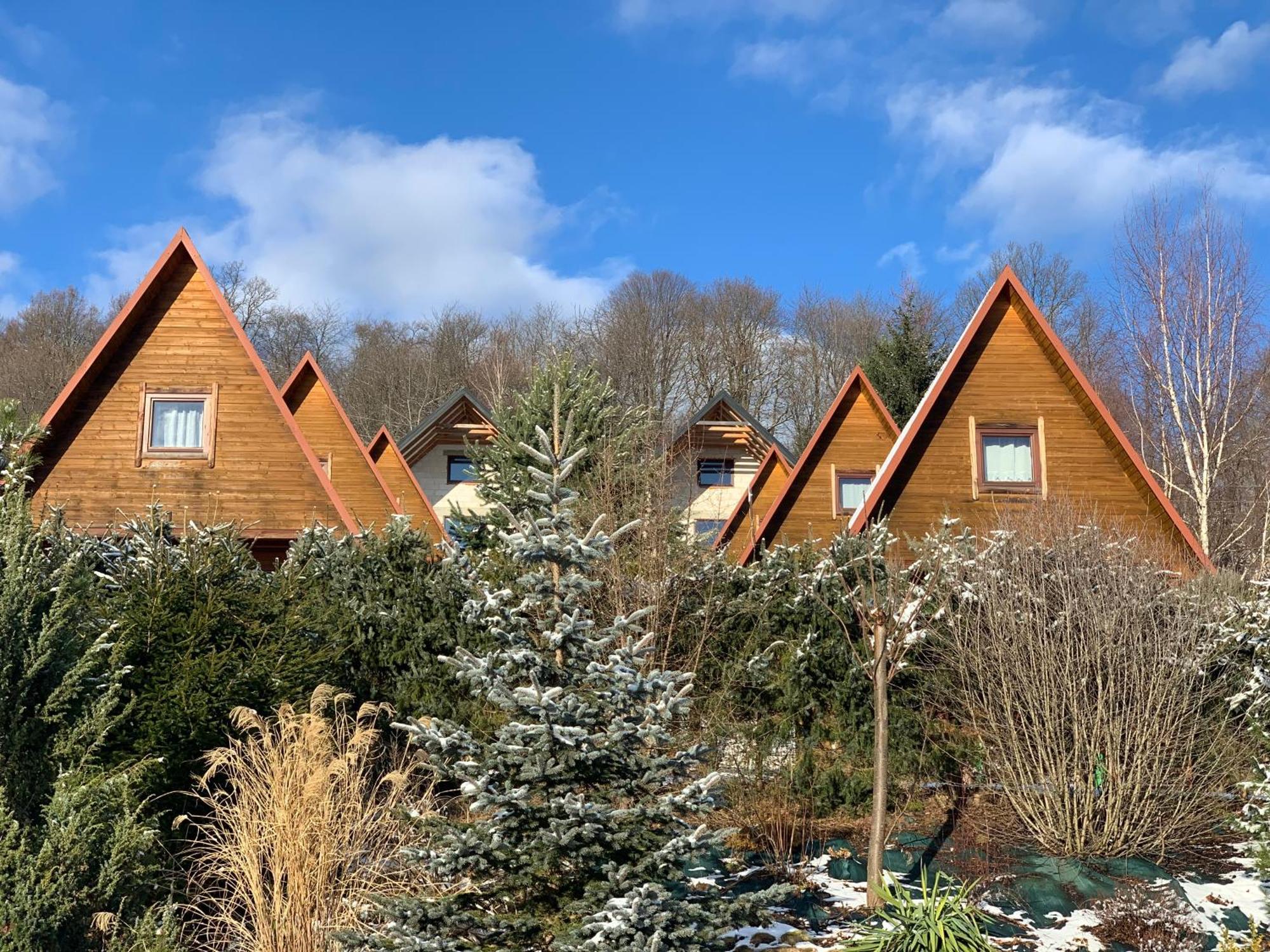 Domki Nad Solina Czarny Kot 509-797-777 Buitenkant foto
