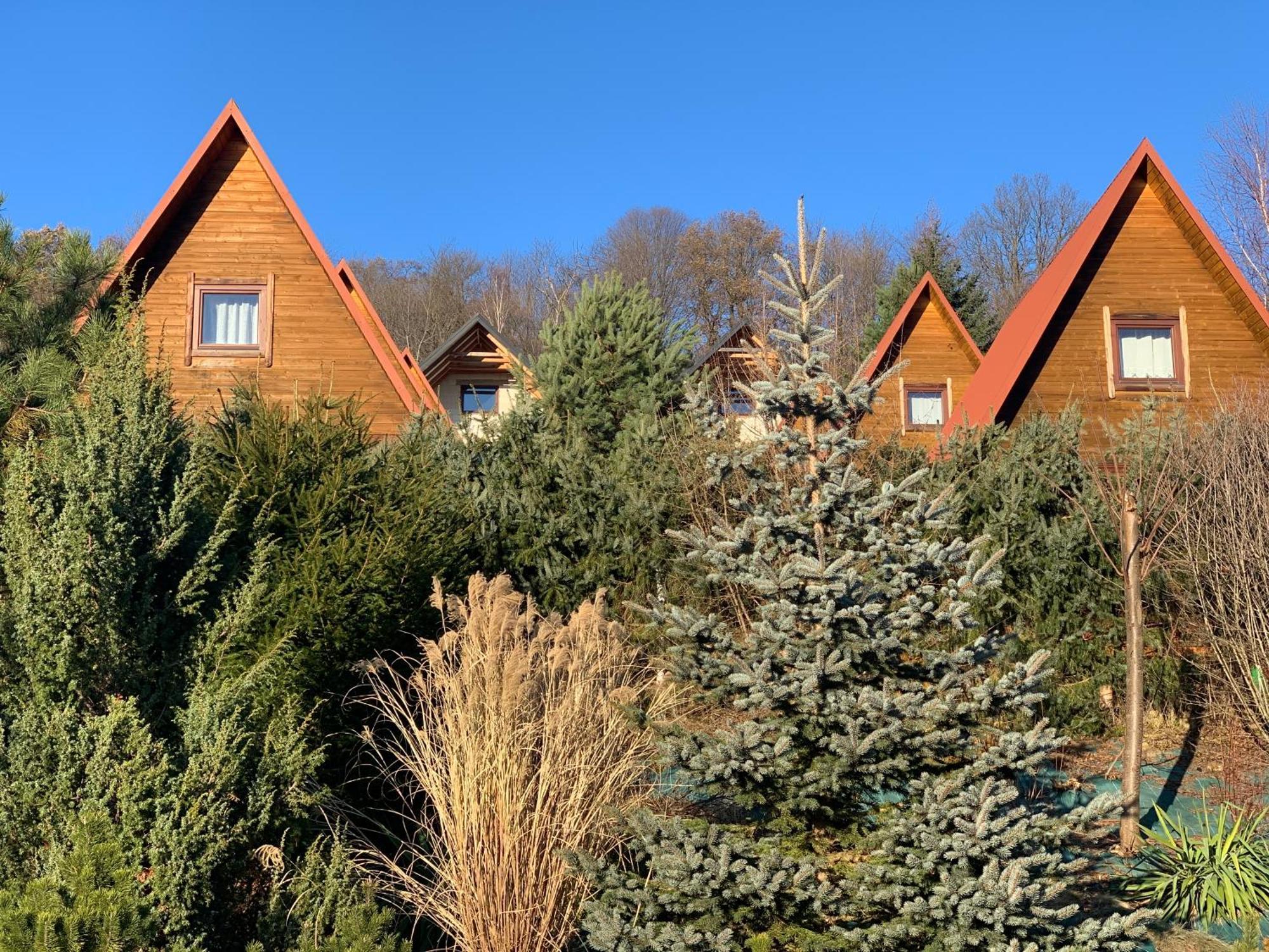 Domki Nad Solina Czarny Kot 509-797-777 Buitenkant foto